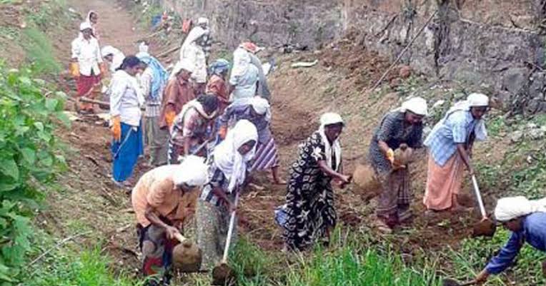 തൊഴിലുറപ്പ് പദ്ധതി: കോവിഡ് പ്രതിസന്ധിയിലും കോട്ടയം ജില്ലയ്ക്ക് റെക്കോര്‍ഡ് നേട്ടം