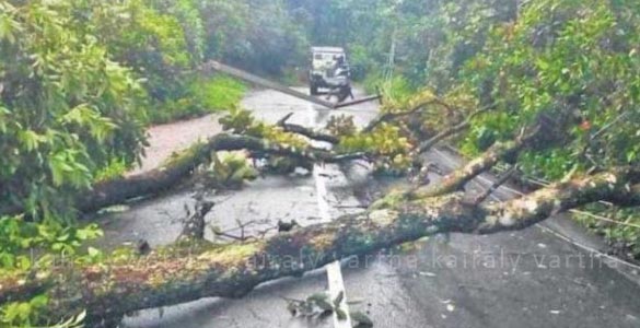 കനത്ത മഴ: ഇടുക്കിയില്‍ ഇന്ന് വൈകിട്ട് 7 മുതല്‍ നാളെ രാവിലെ 7 വരെ യാത്രാനിരോധനം