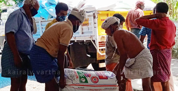 ഏറ്റുമാനൂരില്‍ കെട്ടികിടന്ന നെല്ലിന് 'ശാപമോക്ഷം'; കർഷകർ ആഹ്ളാദത്തിൽ