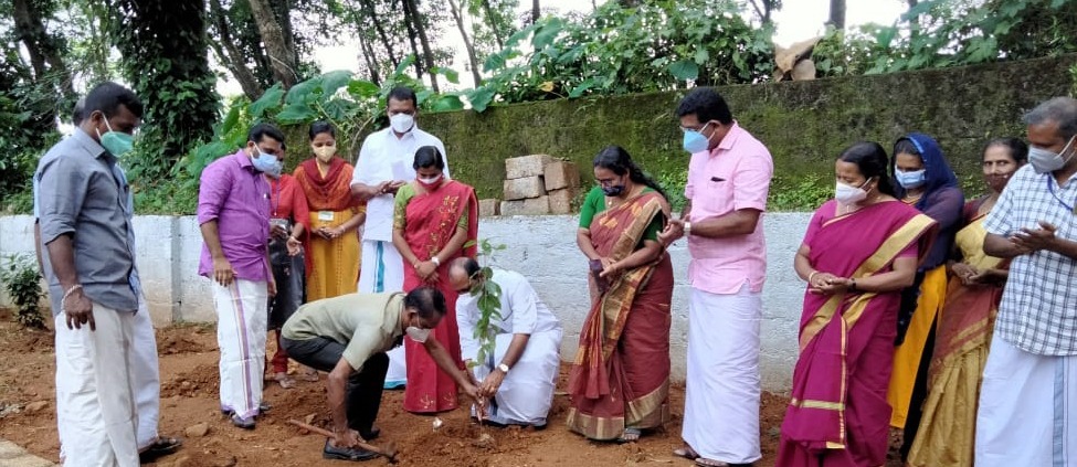 സംസ്ഥാനത്ത് ആദ്യം: മുണ്ടക്കയത്ത് ഏഴു ഗ്രാമ പഞ്ചായത്തുകളിലായി 64 പച്ചത്തുരുത്തുകൾ