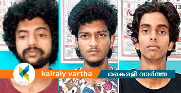 സര്‍ക്കാര്‍ ആശുപത്രിയില്‍ വനിതാ ഡോക്ടര്‍ക്ക് നേരെ ഗുണ്ടായിസം ; മൂന്ന് യുവാക്കള്‍ പിടിയില്‍