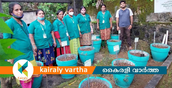 ആതുരാലയങ്ങളില്‍ ഔഷധ സസ്യതോട്ടം തയ്യാറാക്കി ഹരിതകര്‍മ്മസേന