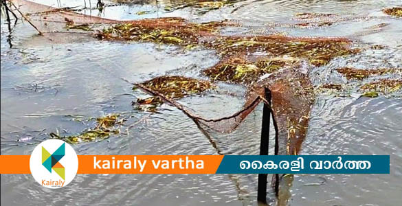 നിരോധനം ലംഘിച്ച് മത്സ്യ ബന്ധനം: മടവല പിടിച്ചെടുത്തു; ശക്തമായ നടപടി