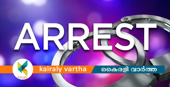 അ​രി​സ​ഞ്ചി​യി​ൽ ഒ​ളി​പ്പി​ച്ച് ക​ഞ്ചാ​വ്; പാ​ലാ സ്വ​ദേ​ശി പി​ടി​യി​ൽ