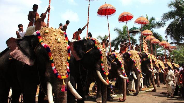 ഉ​ത്സ​വ​ങ്ങ​ൾ​ക്ക് അ​നു​മ​തി: ആ​ന ഉ​ട​മ​ക​ൾ പ്ര​ക്ഷോ​ഭ​ത്തി​ലേ​ക്ക്