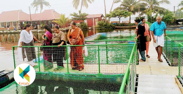 സഞ്ചാരികൾക്കായി നൂതന പാക്കേജുകളൊരുക്കി പാലാക്കരി അക്വാ ടൂറിസം കേന്ദ്രം