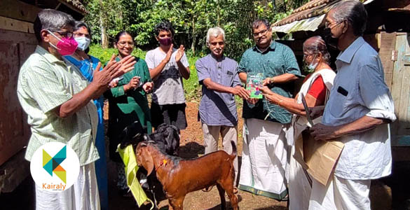 വാഴയിലയിൽ പൊതിഞ്ഞ 'കുഞ്ഞിമാളു' ആട്ടിൻകുഞ്ഞുങ്ങളെ സാക്ഷിയാക്കി പ്രകാശിതമായി