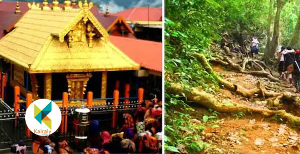 ശബരിമല തീര്‍ഥാടകരുടെ എണ്ണം കൂട്ടിയേക്കും; കരിമല പാത മകരവിളക്കിന് മുമ്പ്