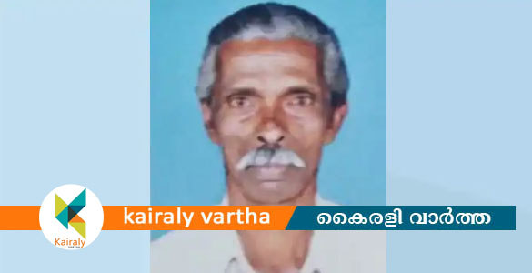 വയനാട്ടില്‍ വയോധികന്‍ തലയ്ക്ക് അടിയേറ്റു മരിച്ച സംഭവത്തിൽ പ്രതി ഭാര്യയെന്ന് പൊലീസ്