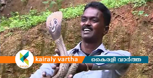 മൂർഖൻ പാമ്പിന്‍റെ കടിയേറ്റ് വാവാ സുരേഷ് കോട്ടയത്തെ ആശുപത്രിയില്‍ ഗുരുതരാവസ്ഥയിൽ