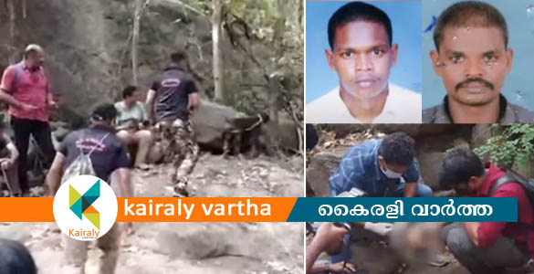 പാലക്കാട് ചപ്പക്കാട് വനത്തിൽ മനുഷ്യന്‍റെ തലയോട്ടി; കാണാതായ യുവാവിന്‍റെയാണോയെന്ന് സംശയം