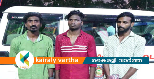 പിഞ്ചുകുഞ്ഞിനെ മറയാക്കി കഞ്ചാവ് കടത്ത്: നാല് പേര്‍ കൊല്ലത്ത് പിടിയില്‍