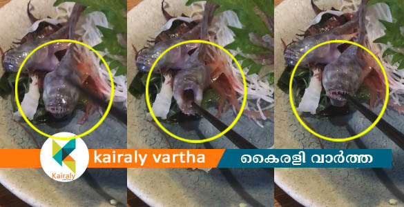 ഭക്ഷണം കഴിക്കാനൊരുങ്ങവെ പ്ലേറ്റിലെ മീന്‍ വാ പൊളിച്ച് ചോപ്സ്റ്റികില്‍ കടന്നുപിടിച്ചു