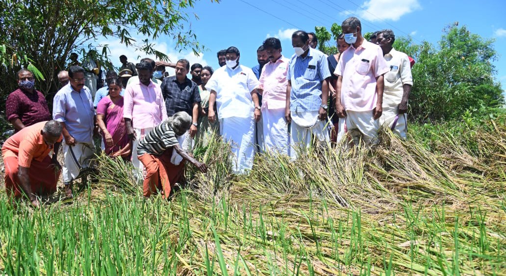 വിഷുദിനത്തിൽ കർഷകർക്കൊപ്പം മന്ത്രി; കൃഷിനാശം നേരിട്ട പാടശേഖരങ്ങൾ സന്ദർശിച്ചു