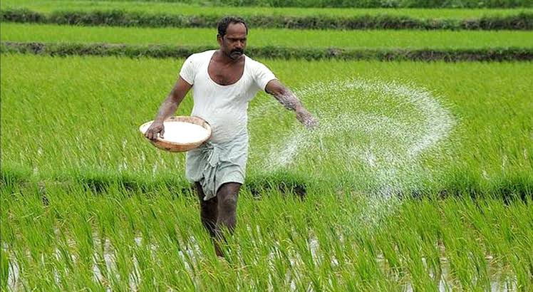 'ഞങ്ങളും കൃഷിയിലേക്ക്': അഖില കേരള ലേഖന രചനാ മത്സരവുമായി കുറവിലങ്ങാട് കൃഷിഭവൻ