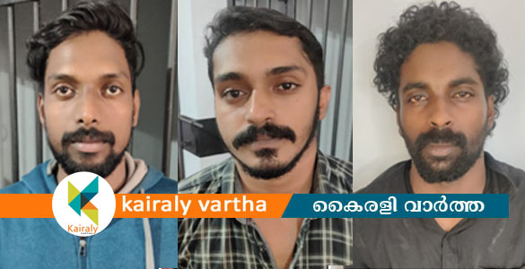 ചങ്ങനാശ്ശേരിയില്‍ വന്‍ കഞ്ചാവ് വേട്ട: ആന്ധ്രയിൽ നിന്നുമെത്തിച്ച കഞ്ചാവുമായി 3 പേര്‍ പിടിയില്‍