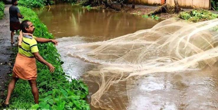 ഊത്തപിടുത്തം നിയമവിരുദ്ധം; ശുദ്ധജലമത്സ്യങ്ങളുടെ വംശനാശം ഫലം