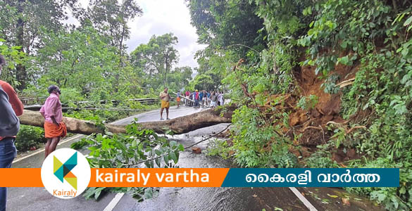 കോട്ടയം - കുമളി റോഡിൽ പുല്ലുപാറയ്ക്കു സമീപം മണ്ണിടിച്ചില്‍; ഗതാഗതം സ്തംഭിച്ചു