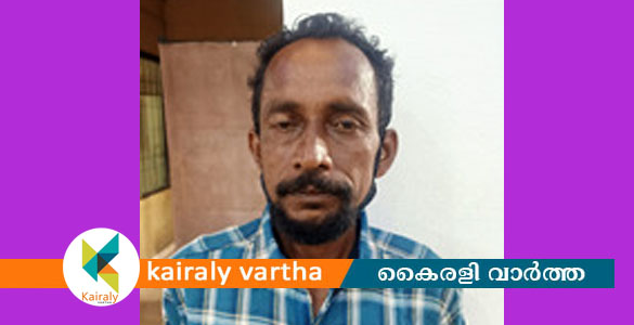 കെഎസ്ആർടിസി ബസിൽ യാത്ര ചെയ്ത യുവതിയെ ശല്യം ചെയ്തയാൾ അറസ്റ്റിൽ