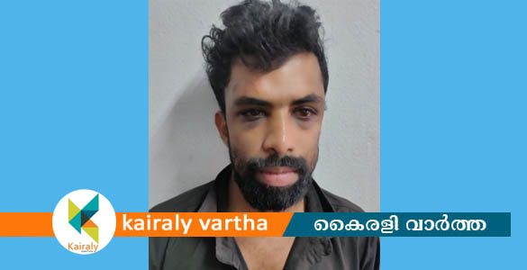 വെച്ചൂരിലെ ഹോട്ടലില്‍ ആക്രമണം; കാപ്പാ നിയമപ്രകാരം നാടുകടത്തിയ പ്രതി അറസ്റ്റില്‍