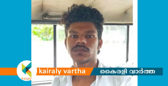 നിരന്തര കുറ്റവാളിയായ ഏറ്റുമാനൂര്‍ സ്വദേശിയെ കാപ്പാ ചുമത്തിയ നടപടി സര്‍ക്കാര്‍ ശരിവച്ചു