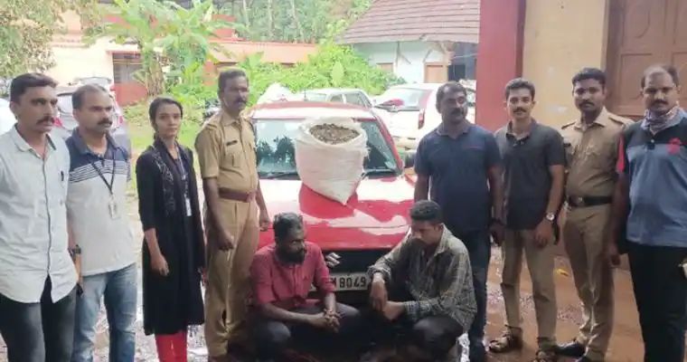 മാവേലിക്കരയിൽ വൻ കഞ്ചാവ് വേട്ട: 21 കിലോ കഞ്ചാവുമായി 'ഇക്രുവും പക്രുവും' പിടിയിൽ