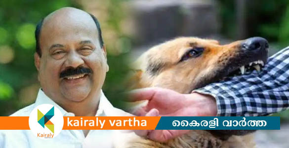 പേപ്പട്ടി ശല്യം: നടപടിയെടുക്കുന്നതിൽ ഗുരുതര വീഴ്ചയെന്ന് മാണി സി കാപ്പൻ