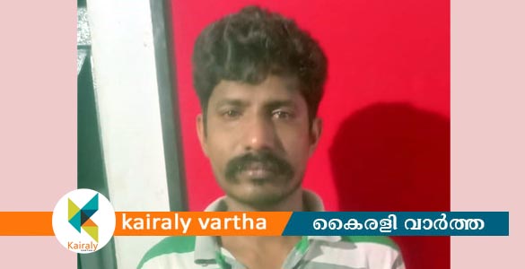 ഓണത്തിന് പാട്ടുവെച്ച് ഡാന്‍സ് കളിച്ച അയല്‍വാസിയെ വീട്ടില്‍ കയറി ആക്രമിച്ച യുവാവ് അറസ്റ്റില്‍