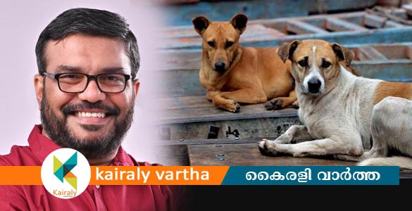 തെരുവുനായ ശല്യം നിയന്ത്രിക്കാൻ ജില്ലകളിൽ നാലംഗ ഏകോപനസമിതി - മന്ത്രി എം.ബി. രാജേഷ്