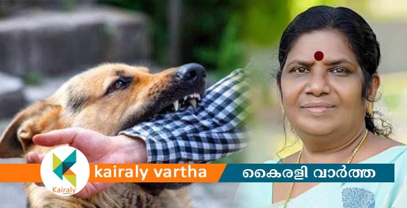 'ഒരു പഞ്ചായത്തില്‍ പത്തിലധികം പേര്‍ക്ക് നായയുടെ കടിയേറ്റാല്‍ ആ മേഖല ഹോട്ട്‌ സ്‌പോട്ട്' - മന്ത്രി