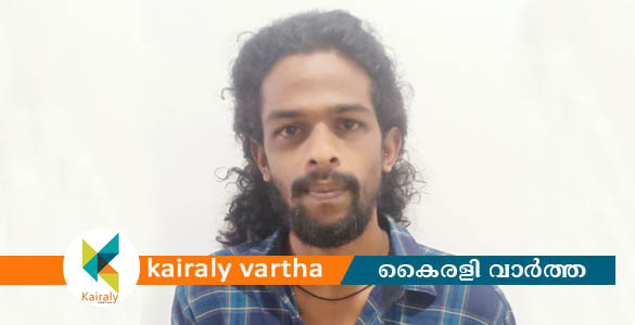 കഞ്ചാവ് കേസിൽ ജാമ്യത്തില്‍ ഇറങ്ങി ഒളിവിൽ കഴിഞ്ഞിരുന്ന പ്രതി പിടിയിൽ