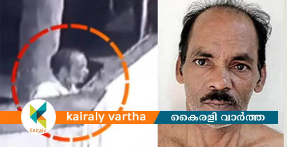 നിമിഷ നേരം കൊണ്ട് ഇരുട്ടിൽ മറയുന്ന 'മരിയാർ പൂതം' ഒടുവിൽ പിടിയിൽ