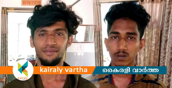 യുവാവിനെ ആക്രമിച്ചശേഷം സഹോദരിയെ പീഡിപ്പിക്കാന്‍ ശ്രമം: രണ്ടുപേർ അറസ്റ്റില്‍
