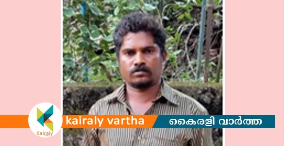 ആക്രി സാധനങ്ങള്‍ പെറുക്കാന്‍ എന്ന വ്യാജേന വീടുകയറി മോഷണം: പ്രതി പിടിയിൽ