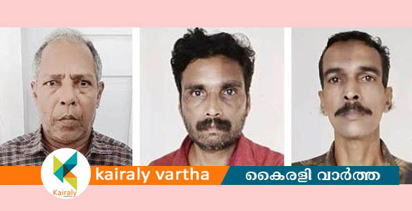 പത്തു വയസുകാരിയെ പീഡിപ്പിച്ച 68 കാരനടക്കം മൂന്ന് പേർ റിമാൻഡിൽ