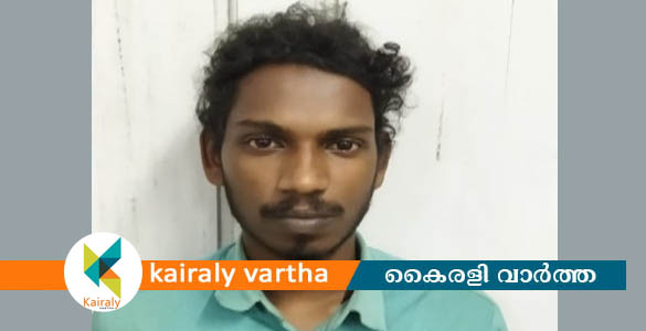 മയക്കുമരുന്ന് മാഫിയയ്ക്ക് സാമ്പത്തിക സഹായം: നീണ്ടൂര്‍ സ്വദേശി യുവാവ് അറസ്റ്റിൽ