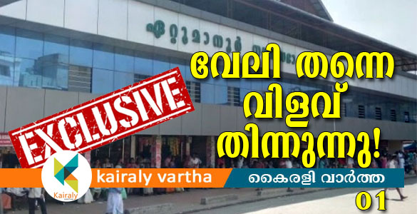 ഏറ്റുമാനൂരില്‍ വന്‍ നികുതിവെട്ടിപ്പ്: ലിസ്റ്റില്‍ ബ്ലോക്ക് പഞ്ചായത്തും നഗരസഭയും വരെ