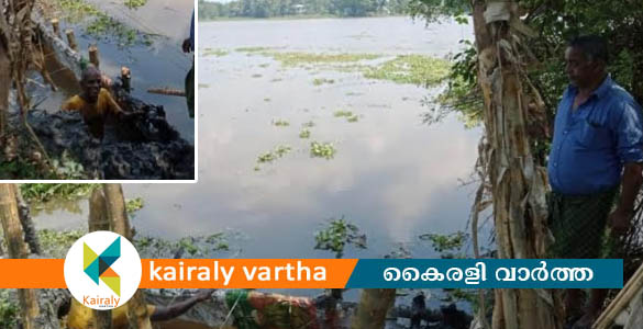 ചങ്ങനാശ്ശേരിയില്‍ മടവീഴ്ച: മട വീണത് ഉലക്കത്താനം പാടശേഖരത്തിലെ 50 ഏക്കറില്‍