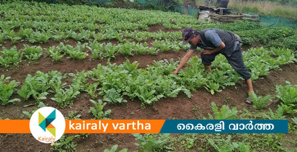 കൃഷിയിടാധിഷ്ഠിത ആസൂത്രണത്തിലൂടെ മാതൃകാ കൃഷിത്തോട്ട രൂപീകരണം: അപേക്ഷ ഇപ്പോള്‍