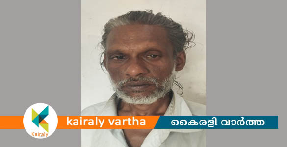 ഭാര്യയോടും മകനോടും സംസാരിച്ച 65 കാരനെ ആക്രമിച്ച വില്ലൂന്നി സ്വദേശി പിടിയിൽ