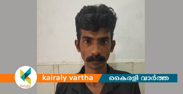 പ്രായപൂർത്തിയാകാത്ത പെൺകുട്ടിയെ പീഡിപ്പിച്ചശേഷം ഒളിവിൽ പോയ യുവാവ് പിടിയിൽ