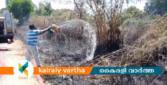 ചങ്ങനാശേരി വാഴപ്പള്ളി ആഞ്ഞിലികുടി പാടശേഖരത്തിനു സമീപം വൻ തീപിടുത്തം