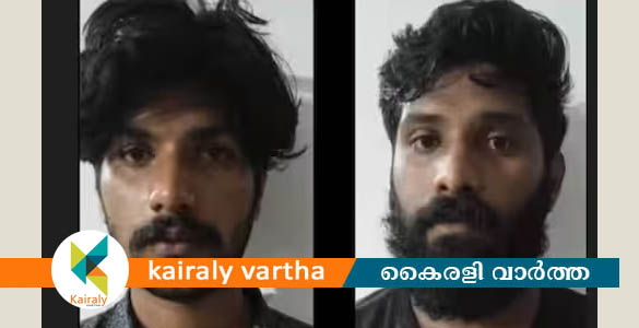 ബെംഗളൂരുവില്‍ നിന്ന് മയക്കുമരുന്ന് എത്തിച്ച് വില്‍പ്പന; ആലപ്പുഴയിൽ സഹോദരങ്ങൾ പിടിയിൽ