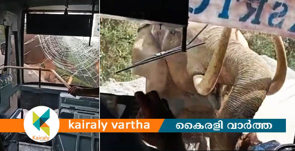 പടയപ്പക്ക് കലിപ്പ് തീരുന്നില്ല: വീണ്ടും കെഎസ്ആർടിസി ബസിന് നേരെ ആക്രമണം