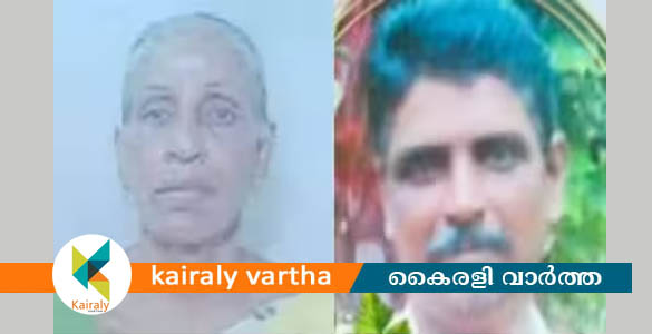 അമ്മയുടെ മരണവിവരം  അറിഞ്ഞ് നാട്ടില്‍ നിന്നും പുറപ്പെട്ട മകൻ ട്രെയിനില്‍ കുഴഞ്ഞു വീണ് മരിച്ചു