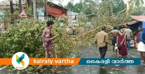 കനത്ത മഴയിലും കാറ്റിലും മരം വീണ് ബൈക്ക് യാത്രികന് ദാരുണാന്ത്യം