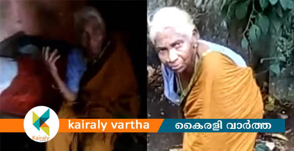 ചെടിക്കമ്പ് മുറിച്ചതിന് 90 വയസുള്ള വ്യദ്ധക്ക് മരുമകളുടെ ക്രൂര മർദ്ദനം