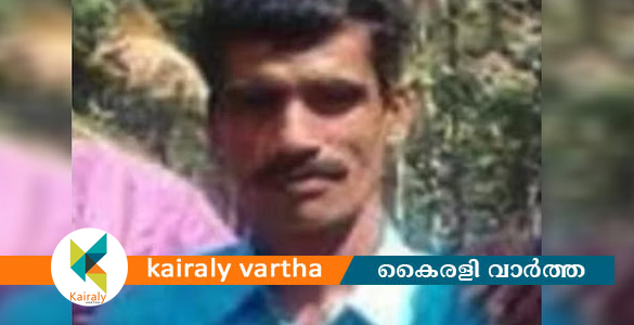 കടബാധ്യതയെ തുടര്‍ന്ന് വയനാട്ടില്‍ ആത്മഹത്യയ്ക്ക് ശ്രമിച്ച കര്‍ഷകന്‍ മരിച്ചു