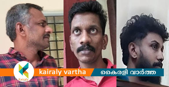 കഞ്ചാവ് കേസിലെ പ്രതികൾക്ക് 10 വർഷം കഠിന തടവിന് ശിക്ഷ വിധിച്ചു