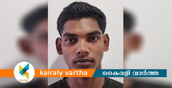 പ്രായപൂര്‍ത്തിയാകാത്ത പെൺകുട്ടിയെ പീഡിപ്പിച്ച കേസിൽ യുവാവ് അറസ്റ്റിൽ